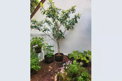 3226 S Carambola Cir S, Coconut Creek, FL 33066 - Photo 7