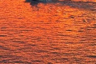 2611 N Riverside Dr, Pompano Beach, FL 33062 - Photo 69