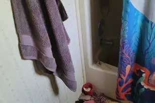 2193 Pineland Dr, Tallahassee, FL 32317 - Photo 3