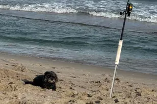 1041 Hillsboro Mile, Hillsboro Beach, FL 33062 - Photo 7