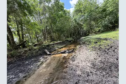 33700 Hwy 441, Okeechobee, FL 34972 - Photo 63