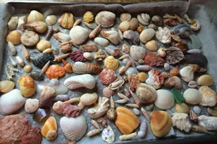 230 Horizons E, Boynton Beach, FL 33435 - Photo 47