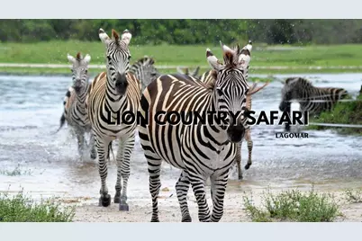 5187 2nd Road, Lake Worth, FL 33467 - Photo 47