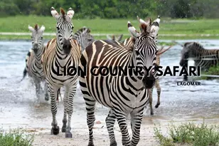 5187 2nd Rd, Lake Worth, FL 33467 - Photo 47