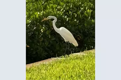 4440 NE Sandpebble Trace #104, Stuart, FL 34996 - Photo 51