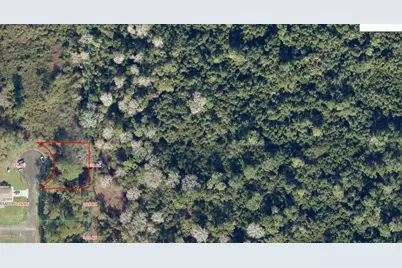 6 Locust Terrace Place, Ocala, FL 34472 - Photo 5