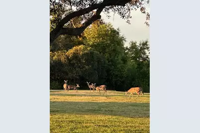 8557 SE Retreat Drive, Hobe Sound, FL 33455 - Photo 29