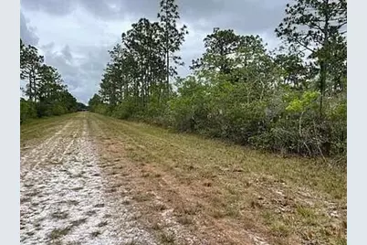 0 Bougainvillea Drive, Indian Lake Estates, FL  - Photo 3