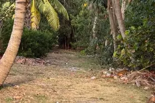 1319 E Hillsboro Blvd, Deerfield Beach, FL 33441 - Photo 33