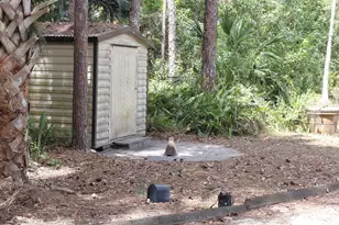 11615 Sunset Blvd, The Acreage, FL 33411 - Photo 7