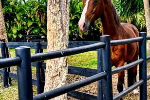 17225 Mare Ln, The Acreage, FL 33470 - Photo 3