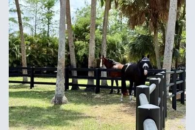 17225 Mare Lane, The Acreage, FL 33470 - Photo 25