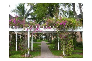 770 SE 2nd Ave, Deerfield Beach, FL 33441 - Photo 5