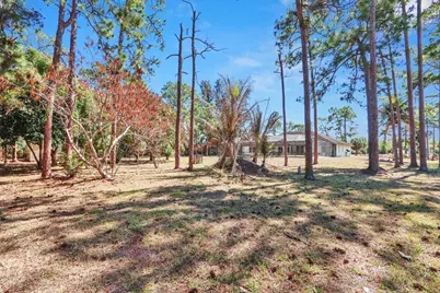 14575 Orange Boulevard, The Acreage, FL 33470 - Photo 49