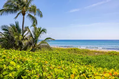 246 NE 14th Street, Delray Beach, FL 33444 - Photo 61