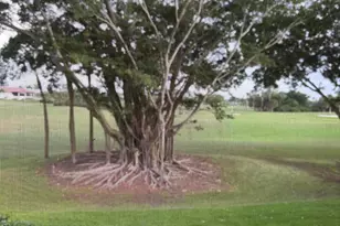 464 Brackenwood Ln S, Palm Beach Gardens, FL 33418 - Photo 35