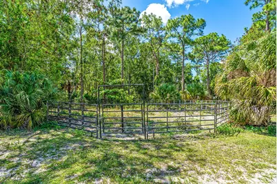 16105 Temple Boulevard, The Acreage, FL 33470 - Photo 29