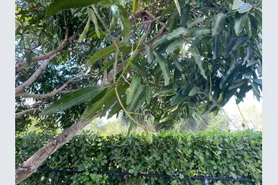 1094 Raintree Lane, Wellington, FL 33414 - Photo 25