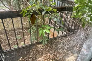 8201 SW 24th St, North Lauderdale, FL 33068 - Photo 13