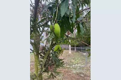 17930 87th Lane N, The Acreage, FL 33470 - Photo 65