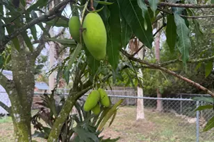 17930 87th Ln N, The Acreage, FL 33470 - Photo 65