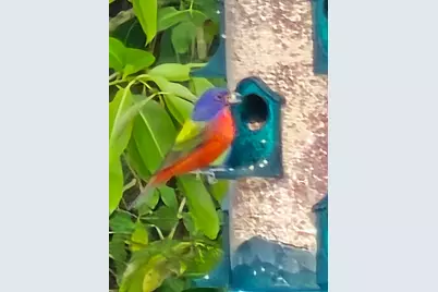 17930 87th Lane N, The Acreage, FL 33470 - Photo 63