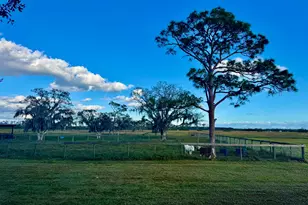 14151 E Center St, Okeechobee, FL 34974 - Photo 15