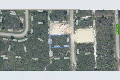 4925 Fettuccine Avenue, Sebring, FL 33872 - Photo 3