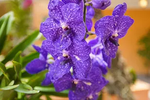 1111 E Las Olas Blvd, Fort Lauderdale, FL 33301 - Photo 3