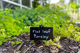 5263 SE Sweetbrier Terrace, Hobe Sound, FL 33455 - Photo 27