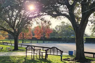 14366 Belmont Trce, Wellington, FL 33414 - Photo 51