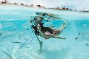 442 Savoie Dr, Palm Beach Gardens, FL 33410 - Photo 51