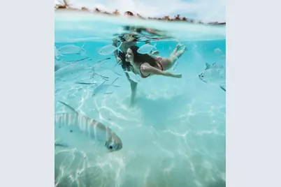 442 Savoie Drive, Palm Beach Gardens, FL 33410 - Photo 49