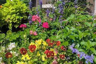 13329 Polo Club Rd, Wellington, FL 33414 - Photo 5