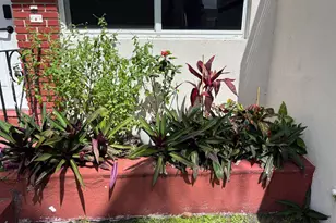 1195 Marseille Dr, Miami Beach, FL 33141 - Photo 3