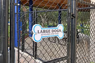 260 Lake Dr, Coconut Creek, FL 33066 - Photo 71