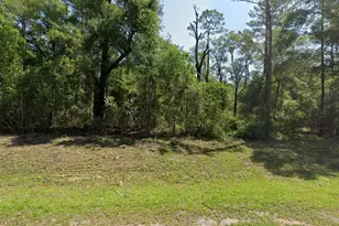 1443 E Odin Dr, Dunnellon, FL 34434 - Photo 1