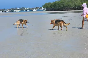 2538 SE Price Ct, Port Saint Lucie, FL 34984 - Photo 47