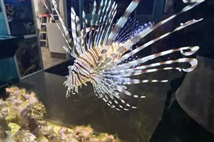 2538 SE Price Ct, Port Saint Lucie, FL 34984 - Photo 49