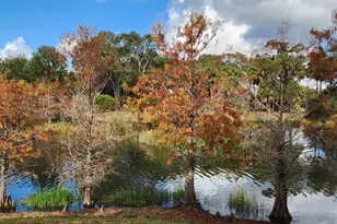 2538 SE Price Ct, Port Saint Lucie, FL 34984 - Photo 47