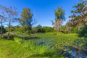2943 B Rd, Loxahatchee Groves, FL 33470 - Photo 79