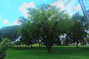 7341 NW 18th St, Margate, FL 33063 - Photo 23