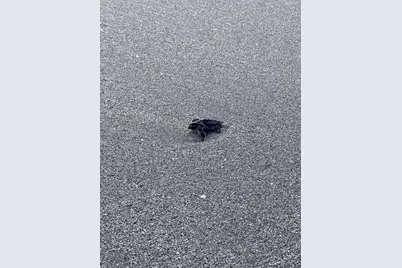 8323 SE Croft Circle #N9, Hobe Sound, FL 33455 - Photo 59