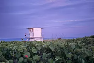 8323 SE Croft Cir, Hobe Sound, FL 33455 - Photo 61