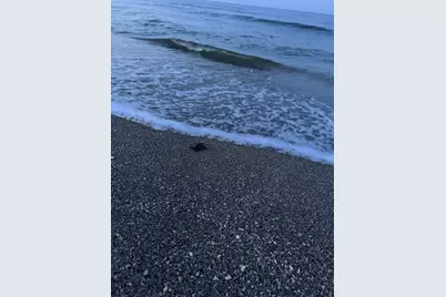 8323 SE Croft Circle #N9, Hobe Sound, FL 33455 - Photo 57