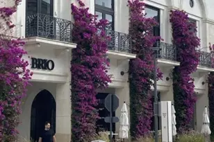 3526 Whitehall Dr, West Palm Beach, FL 33401 - Photo 21