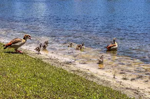 18910 Sweet Pepper Ct, Jupiter, FL 33458 - Photo 51