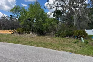 1625 Pickerel Ct, Poinciana, FL 34759 - Photo 1