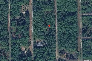 143 Forest St, Georgetown, FL 32139 - Photo 1