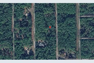 143 Forest Street, Georgetown, FL 32139 - Photo 1